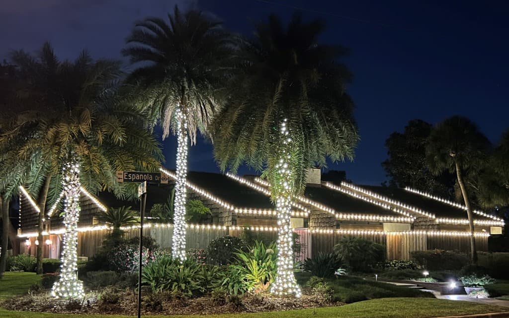 Install with multiple tall palms wrapped in soft white lights and roofline lighting in the background